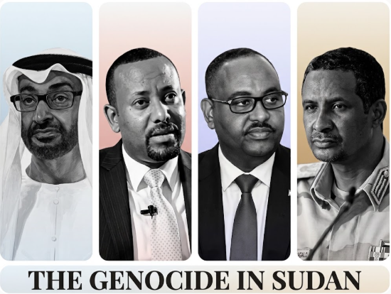 Sudan Investigation Gains Support Despite Reported Emirati Pressure